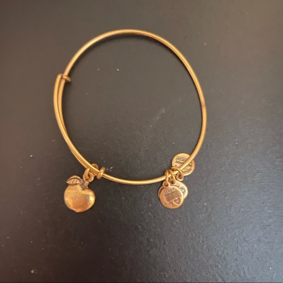 Alex and Ani Apple of Abundance - Picture 2 of 3
